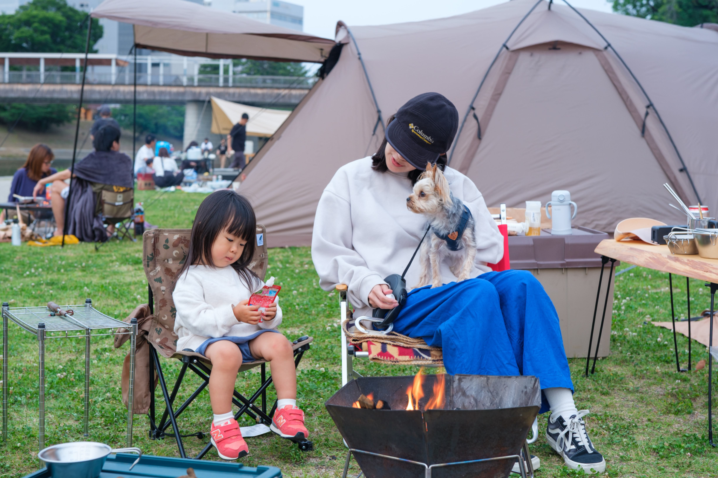 Let it Camp