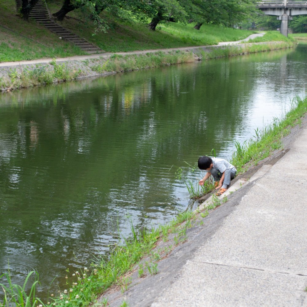 伊賀川でアメンボを見つけているところ