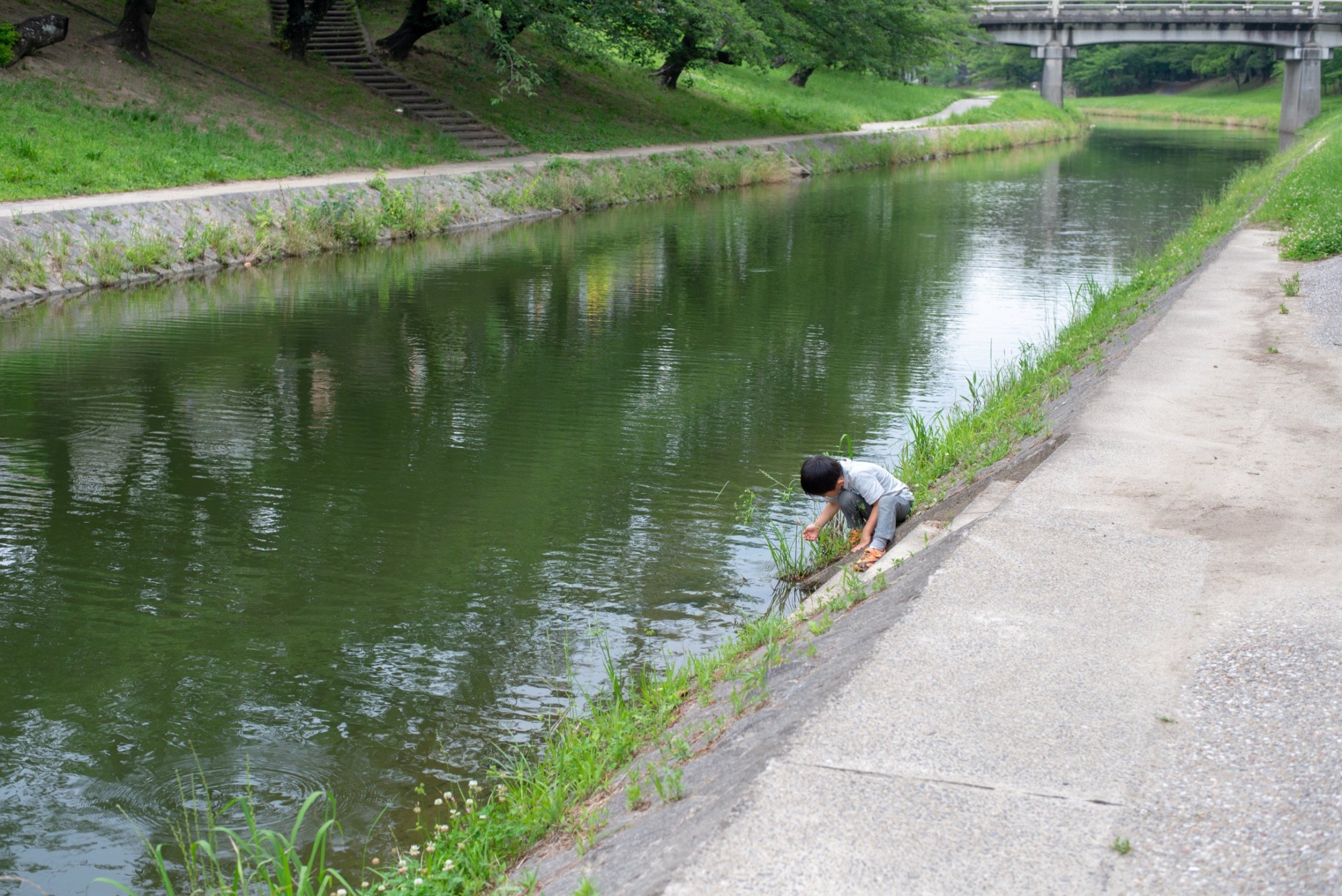 伊賀川でアメンボを見つけているところ