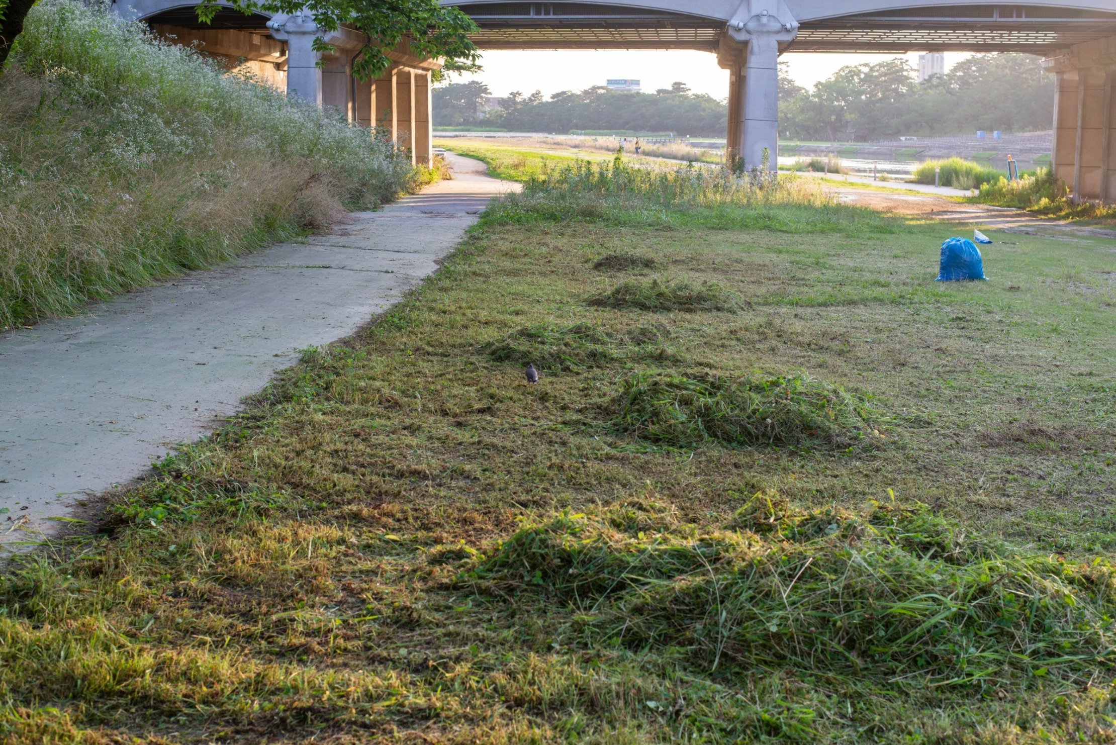 乙川キャンプ場