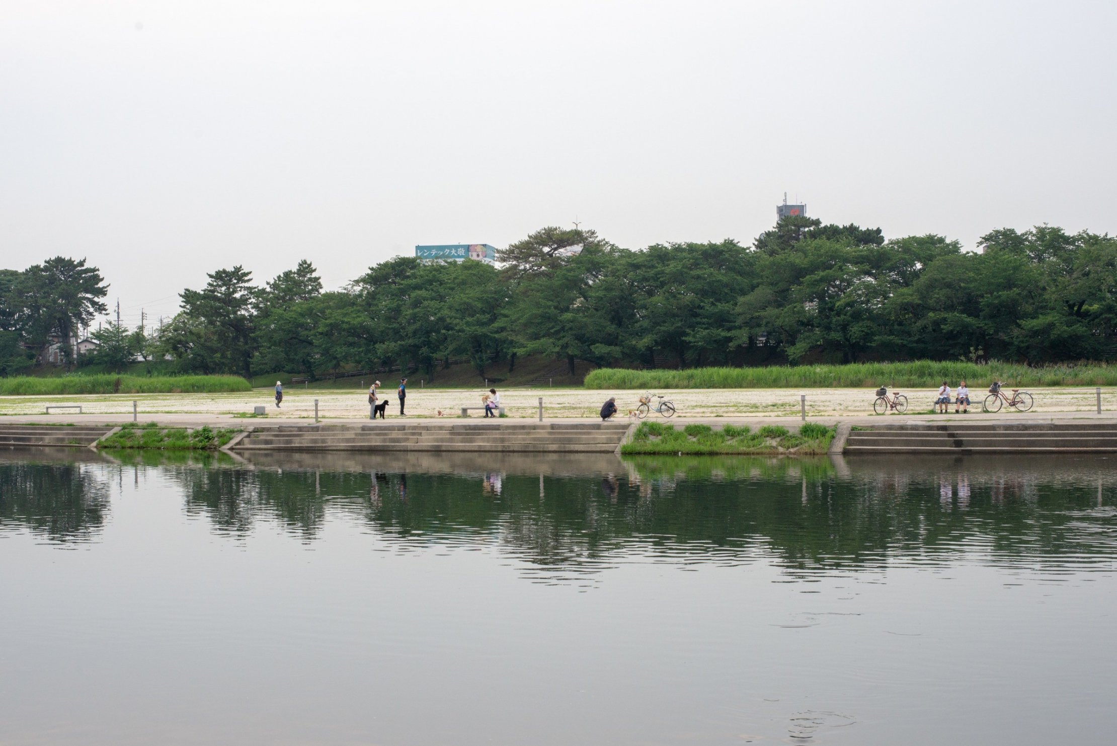 乙川河川敷の日常風景