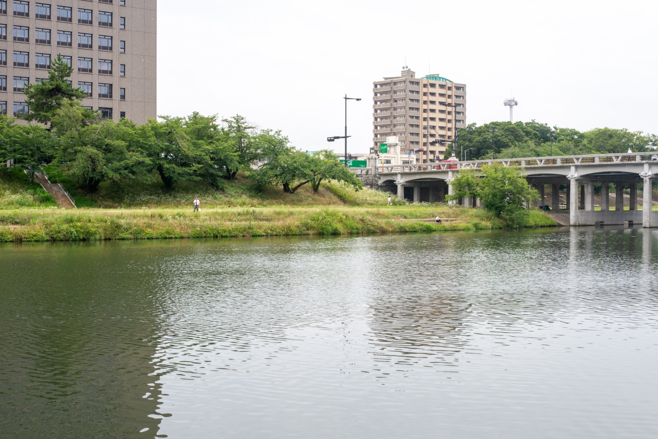 乙川河川敷と殿橋