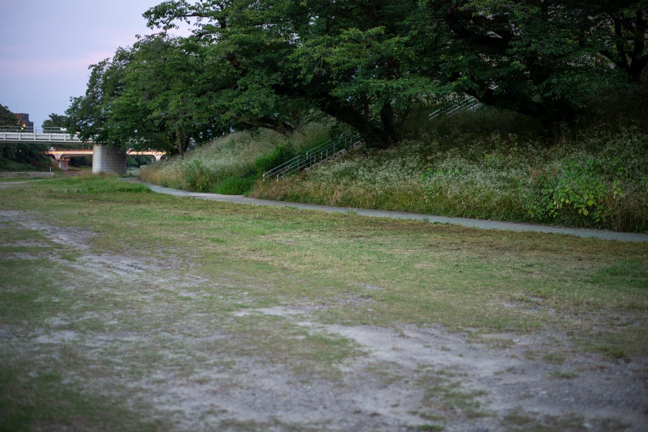 乙川キャンプ場