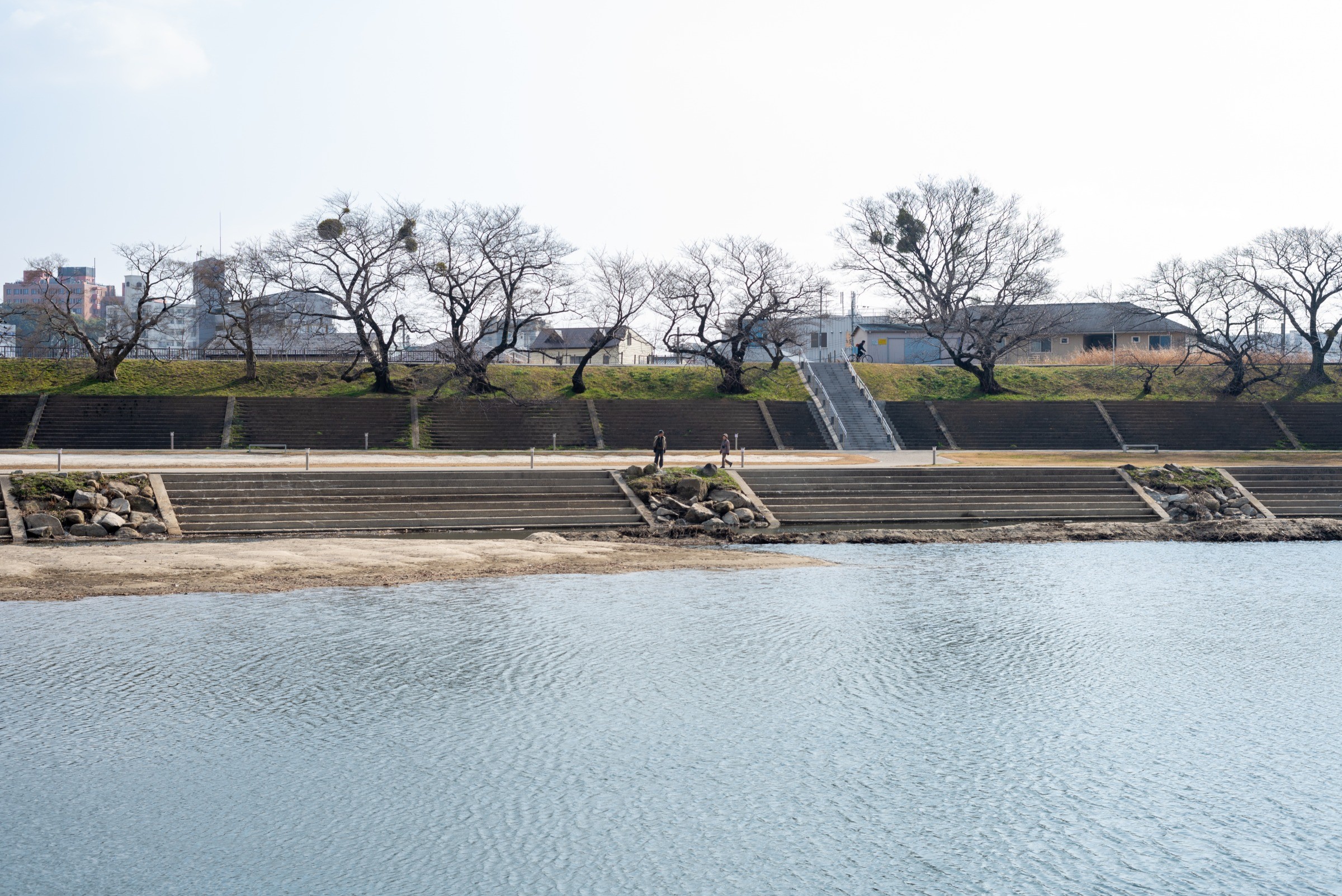 ひょうたん池のある河川敷の対岸にうっそうと茂っていた草木が綺麗に刈られていました そこで暮らしていた生物はどこかに行ったのか ある日の乙川 One River