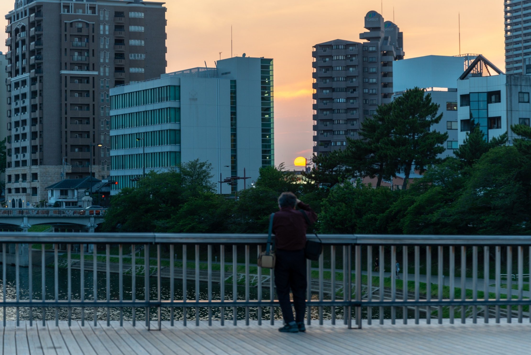 桜城橋から見える夕日が この日はビルとビルの隙間から見ることができました 刻々と沈みゆく太陽がとても美しかったです ある日の乙川 One River