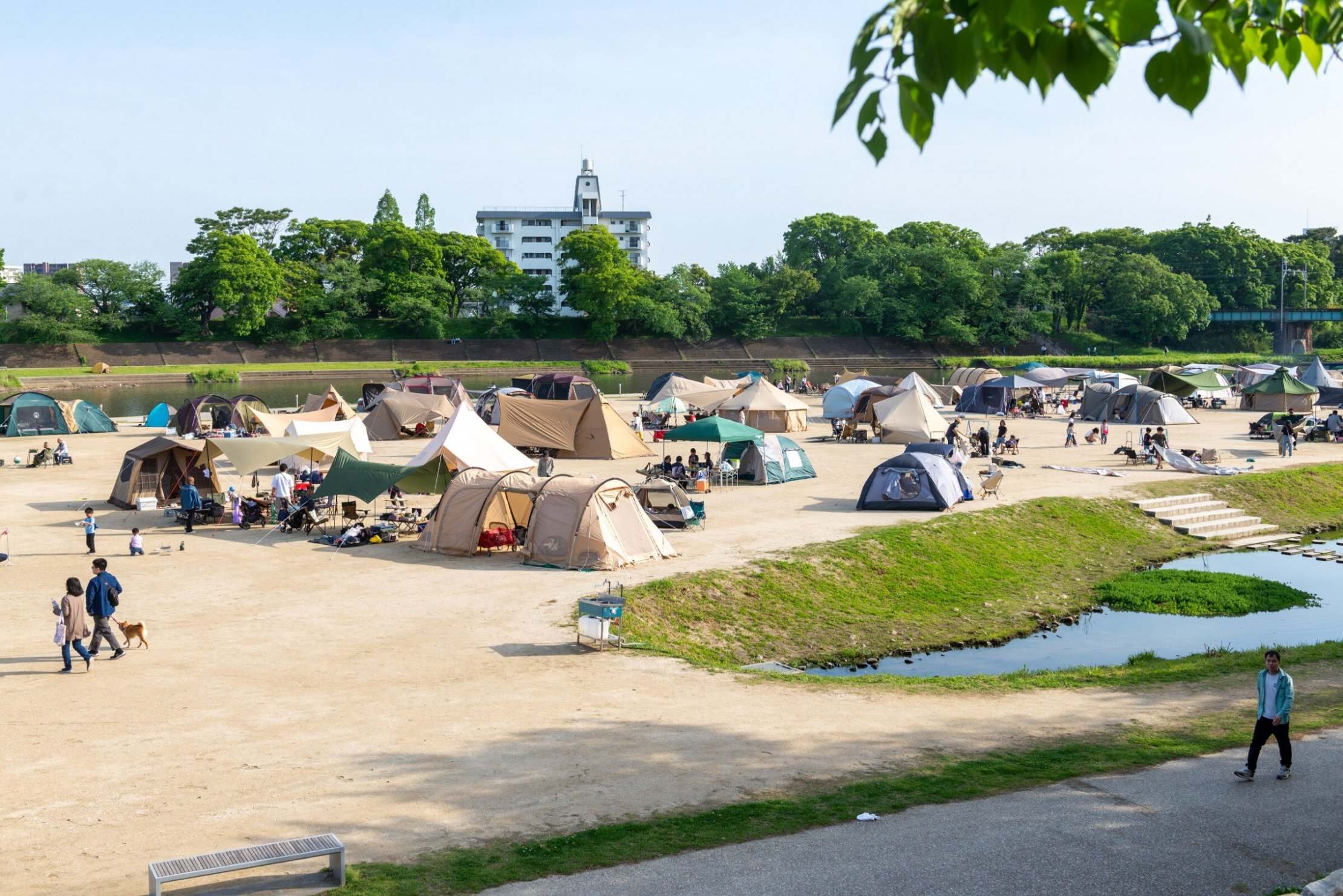 ゆったりとしたフリーサイト営業