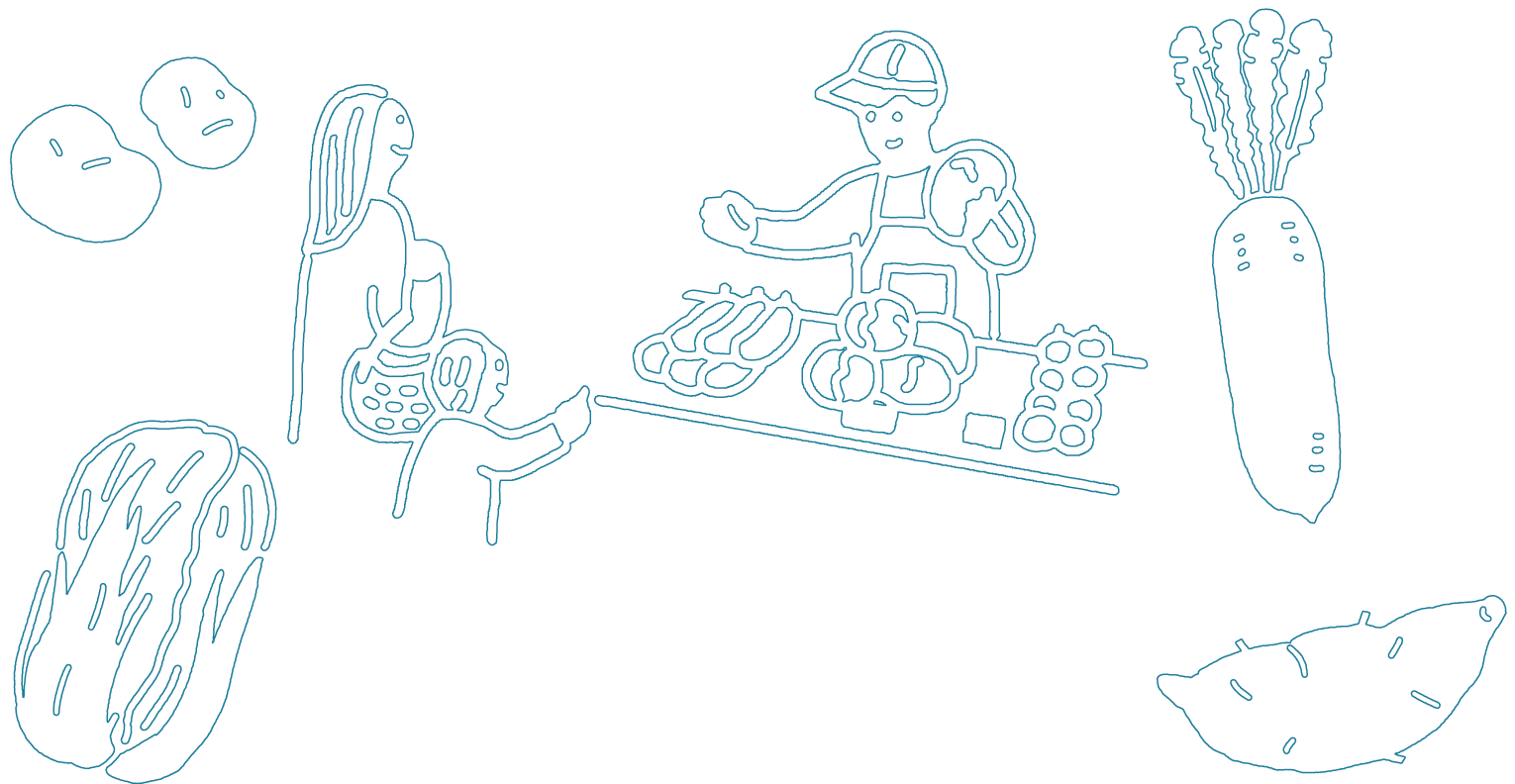 新鮮野菜の朝市 / NPO法人おかざき農遊会